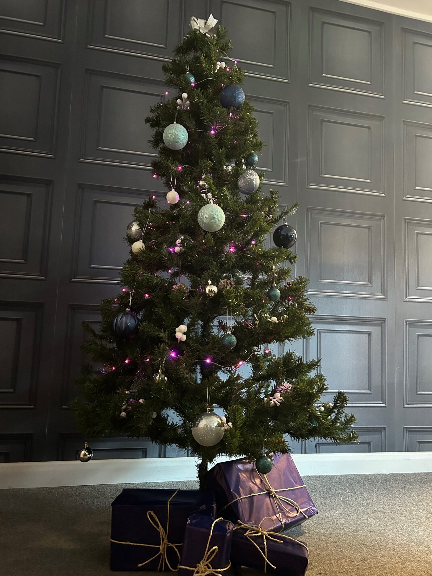 A year of community, growth and celebration at Thomson & Bancks - Strat Xmas Tree