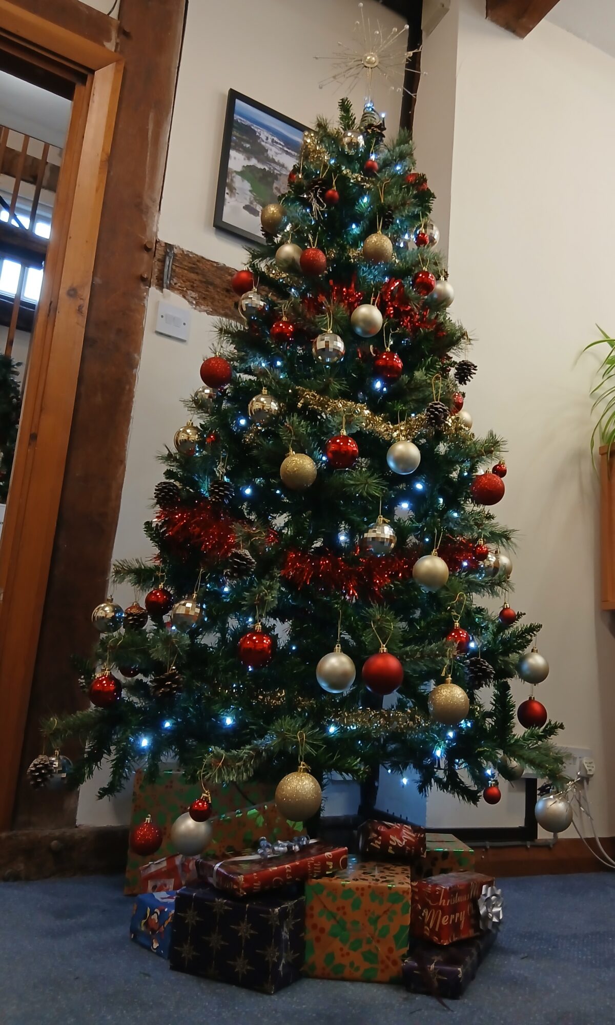 A year of community, growth and celebration at Thomson & Bancks - Tewks Tree