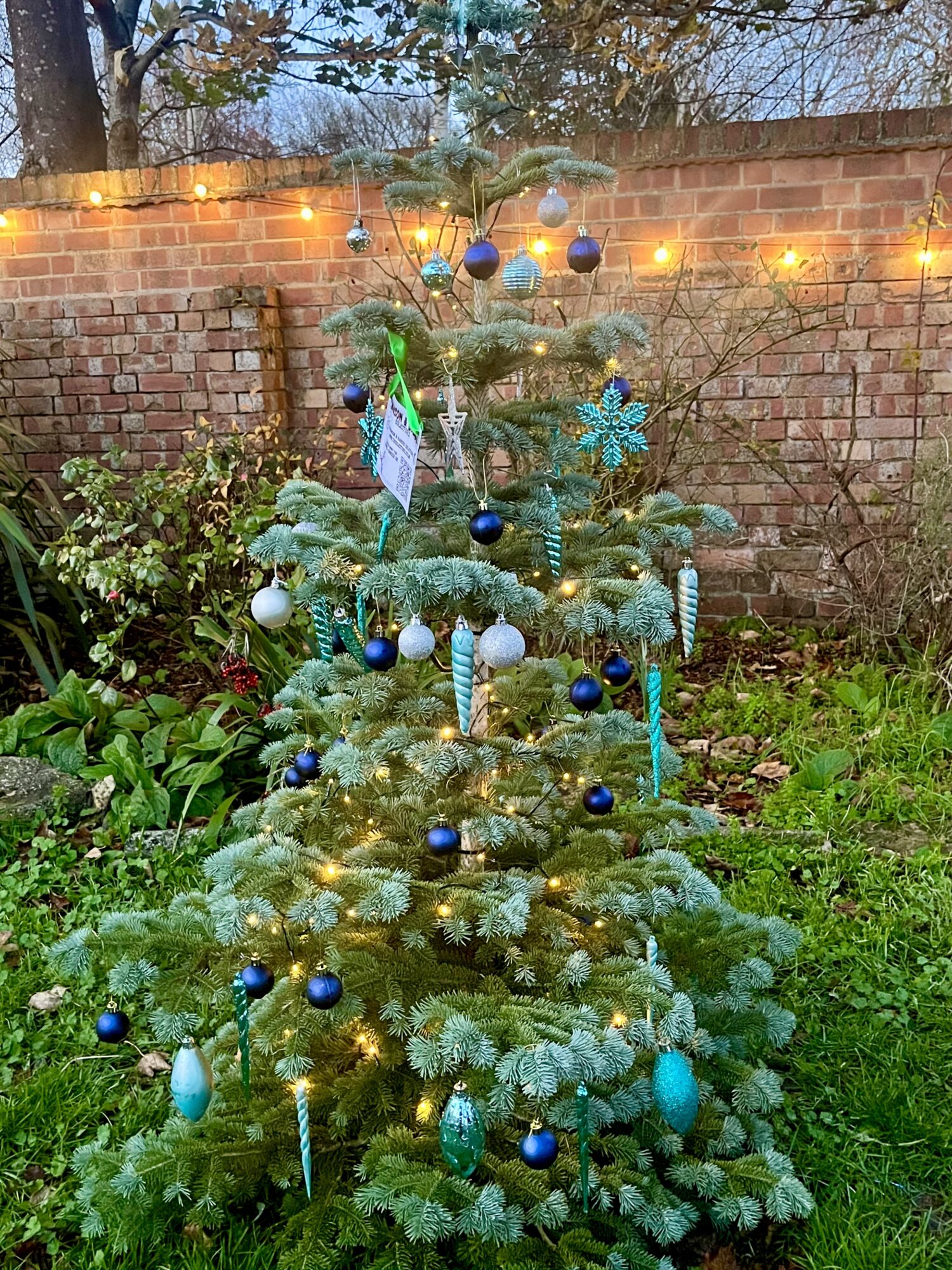 A year of community, growth and celebration at Thomson & Bancks - Tree lights
