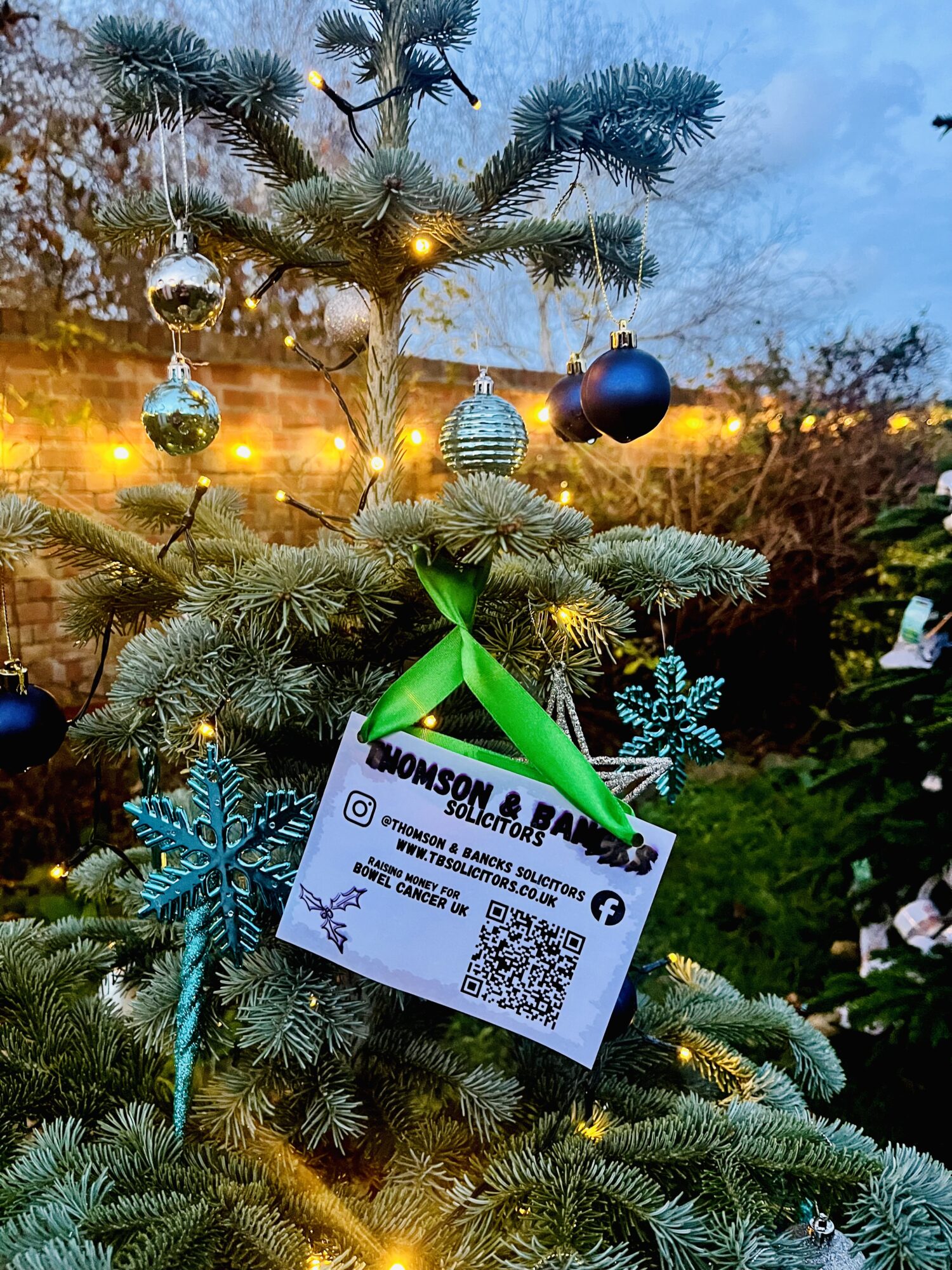 A year of community, growth and celebration at Thomson & Bancks - Tree lights 2